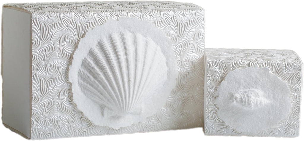 The Favorite Place Burial Biodegradable Urn for Human Ashes, (Small Shell Urn Box), Water Burial Urn, Urn for