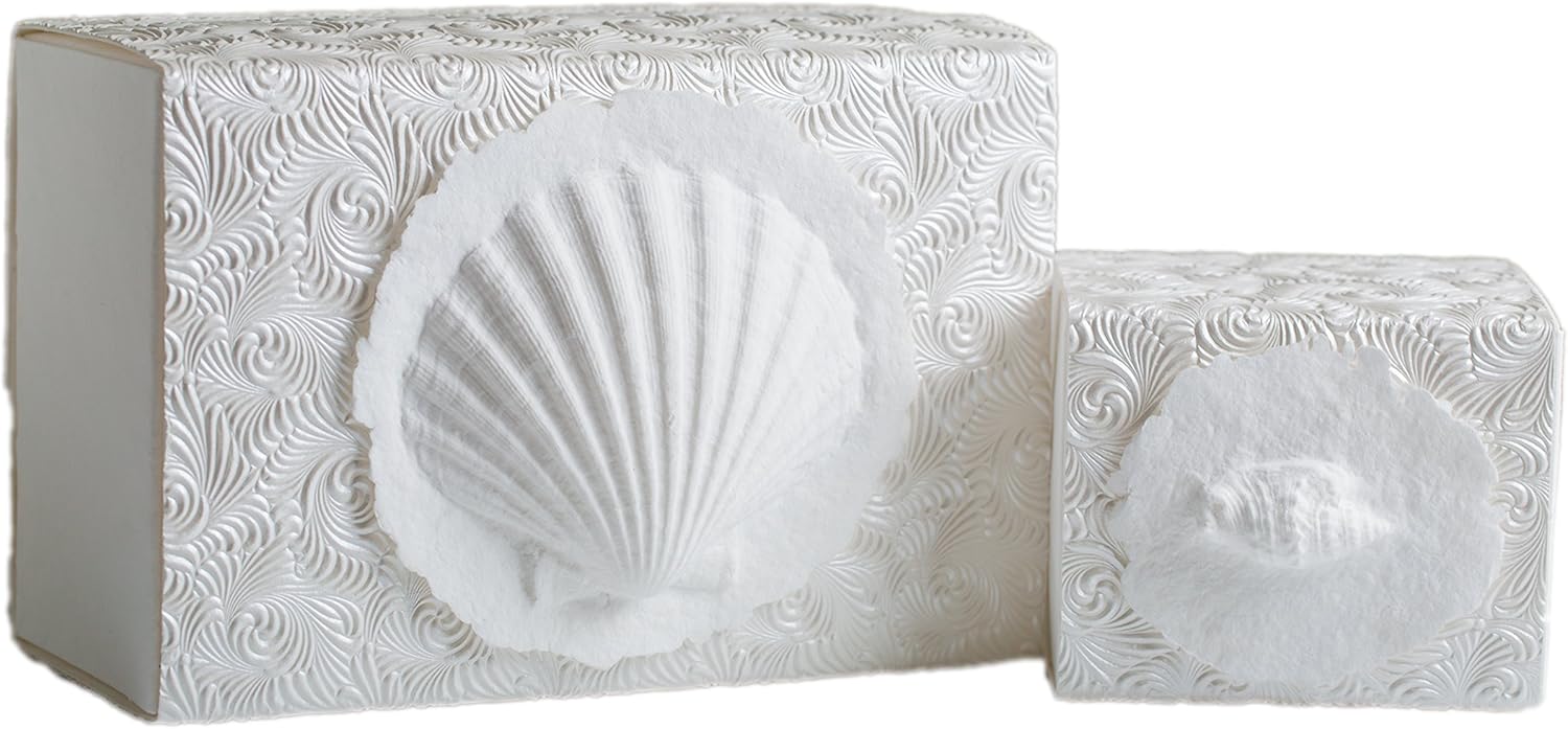 The Favorite Place Burial Biodegradable Urn for Human Ashes, (Small Shell Urn Box), Water Burial Urn, Urn for