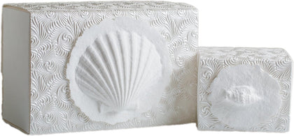 The Favorite Place Burial Biodegradable Urn for Human Ashes, (Small Shell Urn Box), Water Burial Urn, Urn for