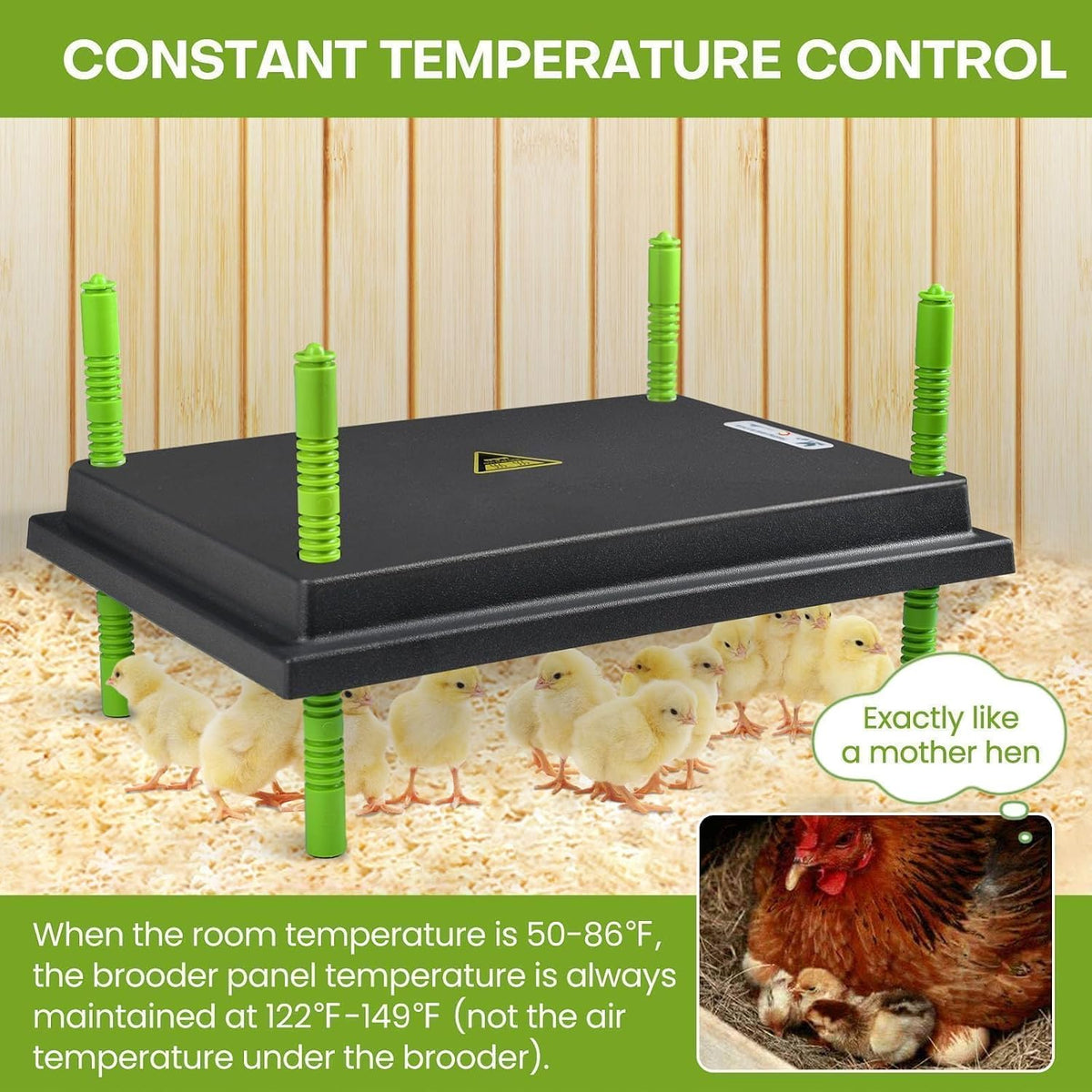 12" x 16" Chick Brooder Heater Plate for 40 Baby Chicks Ducks