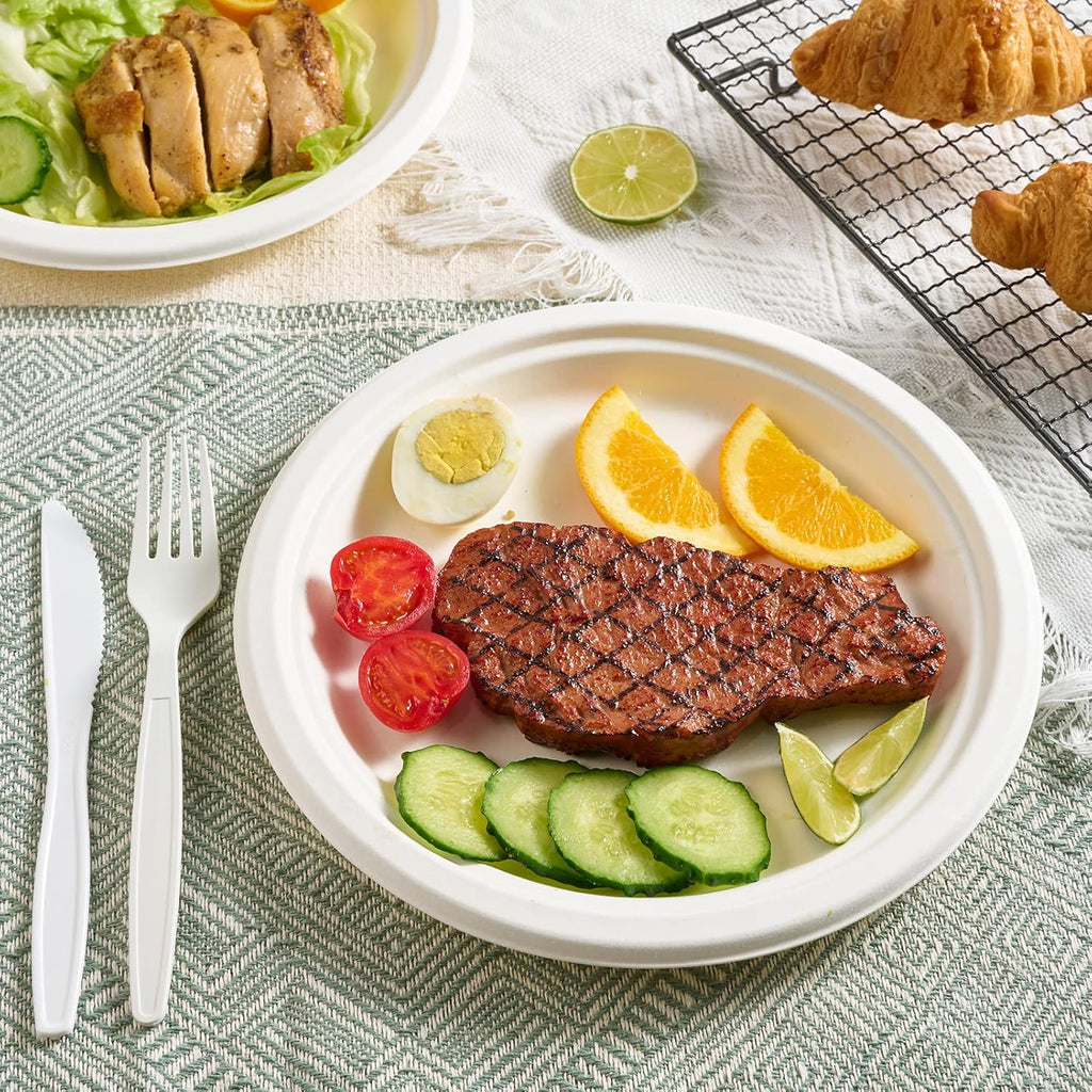 500 Pack Compostable Bagasse Paper Plates 9 inch, White