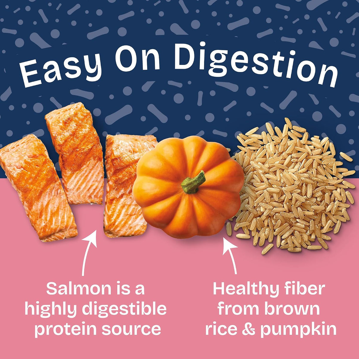 Health Protection Dog Food, Salmon Stew, 12.5 oz, 6 Pack