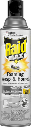 Wasp and Hornet Killer Spray, Kills the entire nest, Kills Paper Wasps, Yellow Jackets, Mud Daubers and more, 13 oz