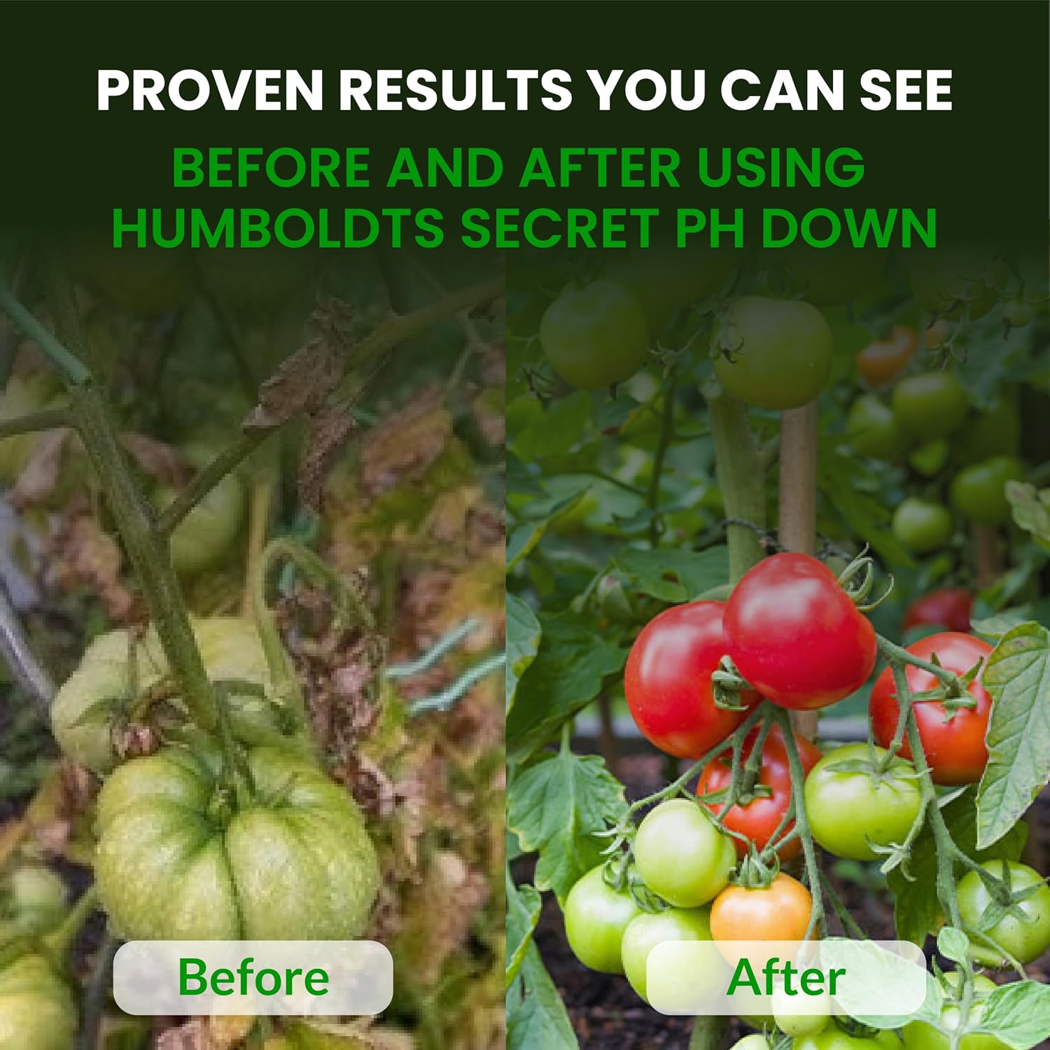 pH Down for Plants | Liquid pH Adjuster and Balancer for Soil Coco Hydroponics | Concentrated Phosphoric Acid