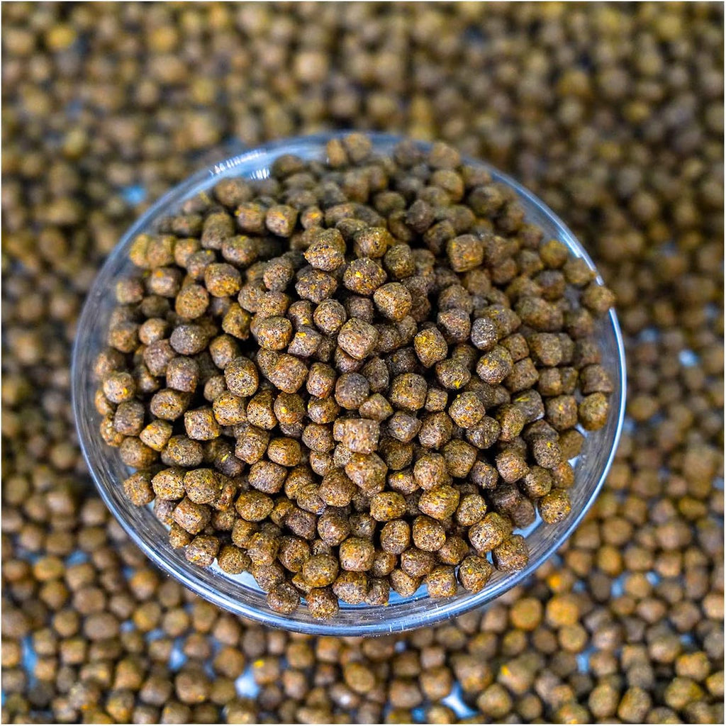 Game Fish Food Variety | Pond and Lake Fish Food Pellets | 22 lb Bag | Feed to Bass, Bluegill, Trout, Catfish