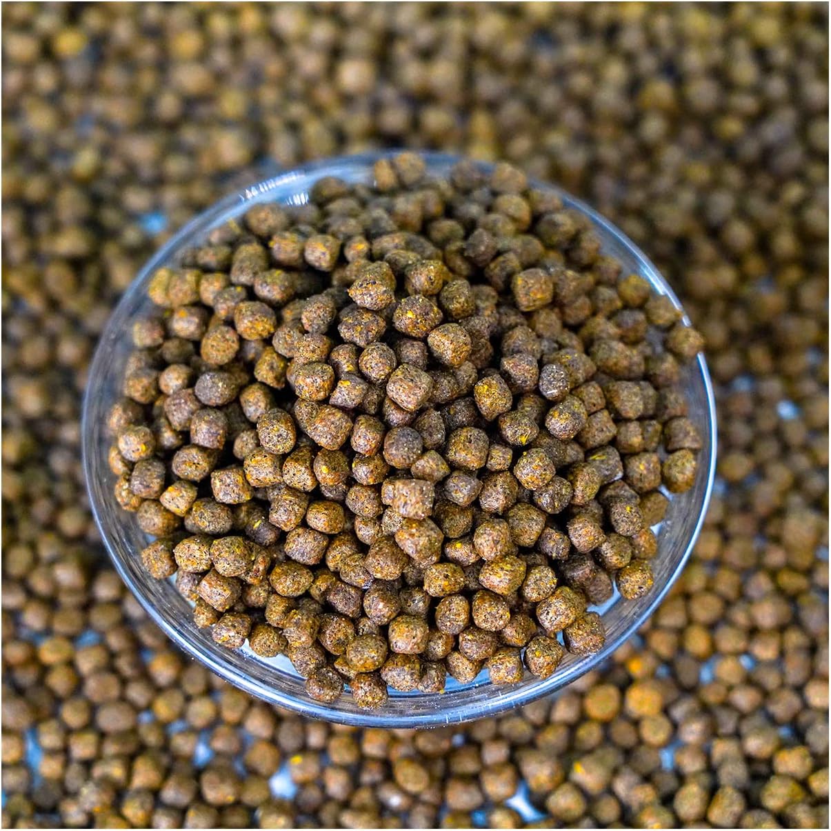 Game Fish Food Variety | Pond and Lake Fish Food Pellets | 22 lb Bag | Feed to Bass, Bluegill, Trout, Catfish