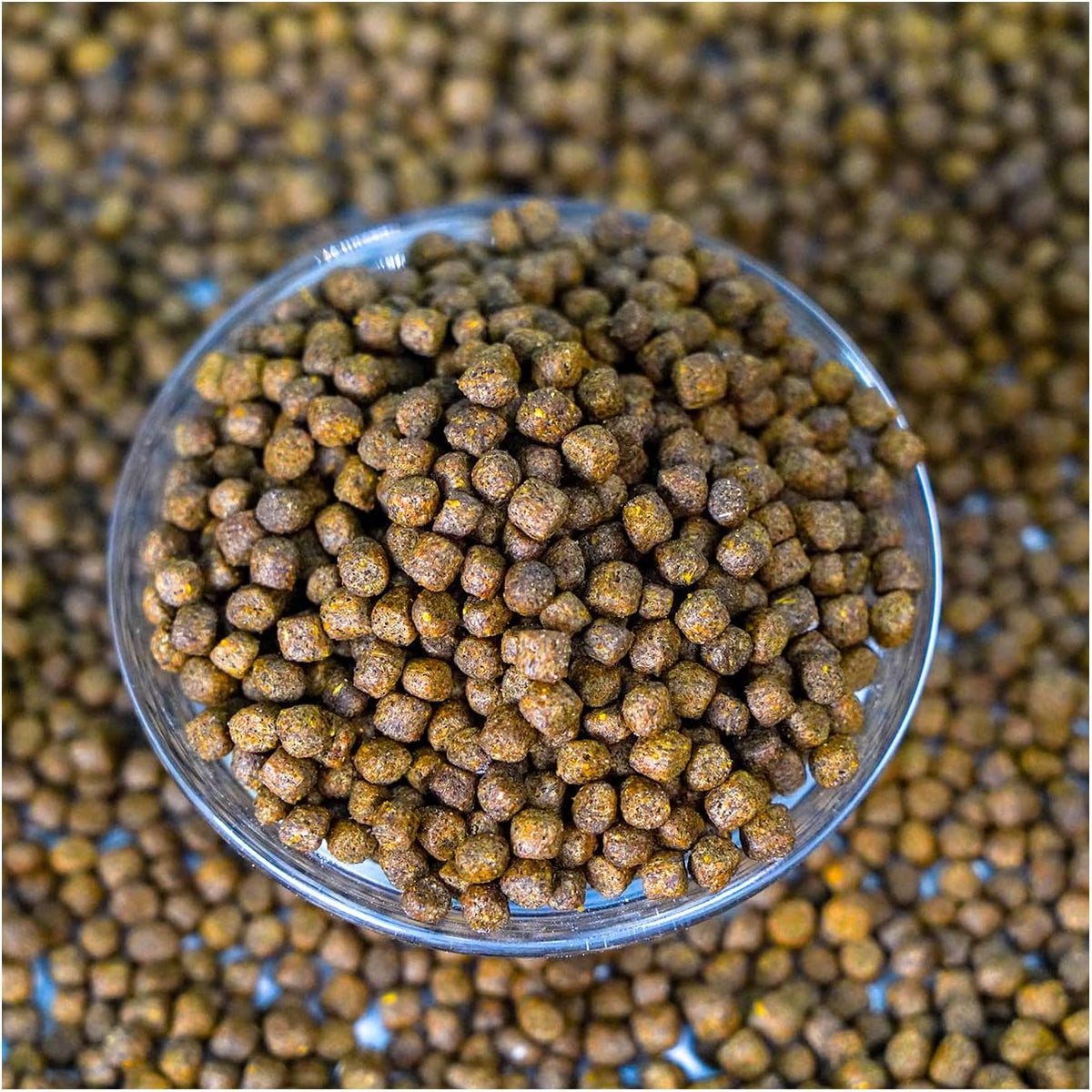 Game Fish Food Variety | 40 lb Bulk Fish Food Pellets | Feed to Bass, Bluegill, Trout, Catfish, Tilapia