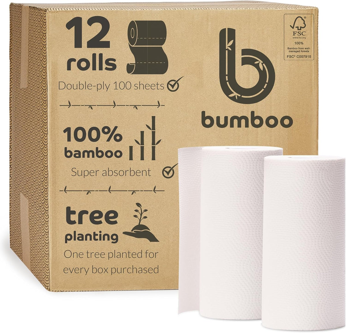 100% Bamboo Kitchen Rolls | Pack of 12 Rolls (2-Ply) | Multipurpose, Plastic-Free, Eco-Friendly, Super Absorbent