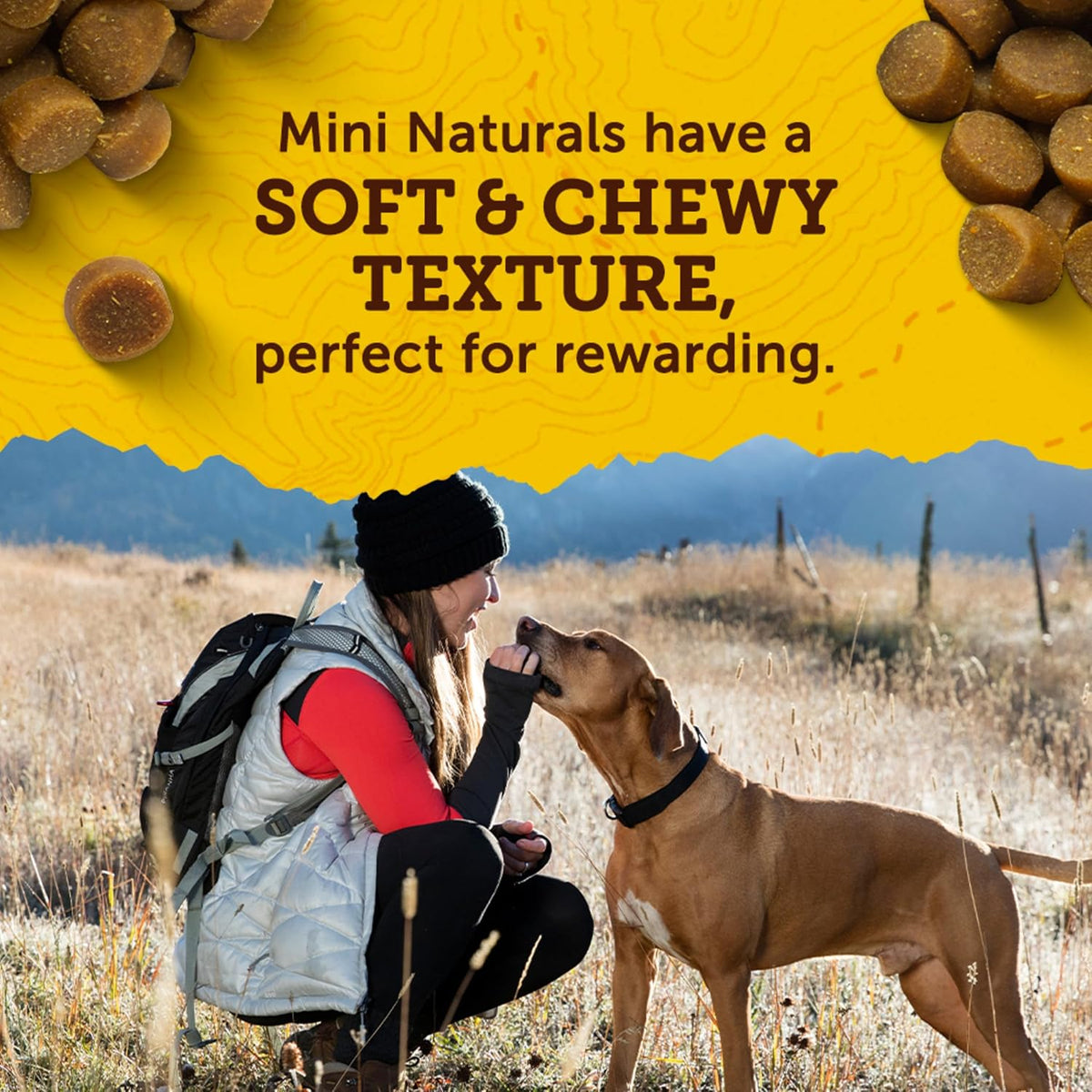 Zuke’s Mini Naturals Dog Training Treats for Dogs, Pet Treats Made with Real Peanut Butter- 16 oz. Bag