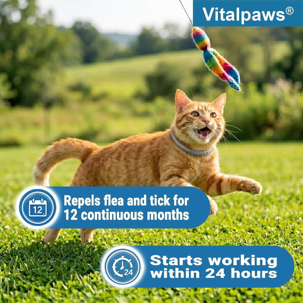 Flea and Tick Collar for Cats
