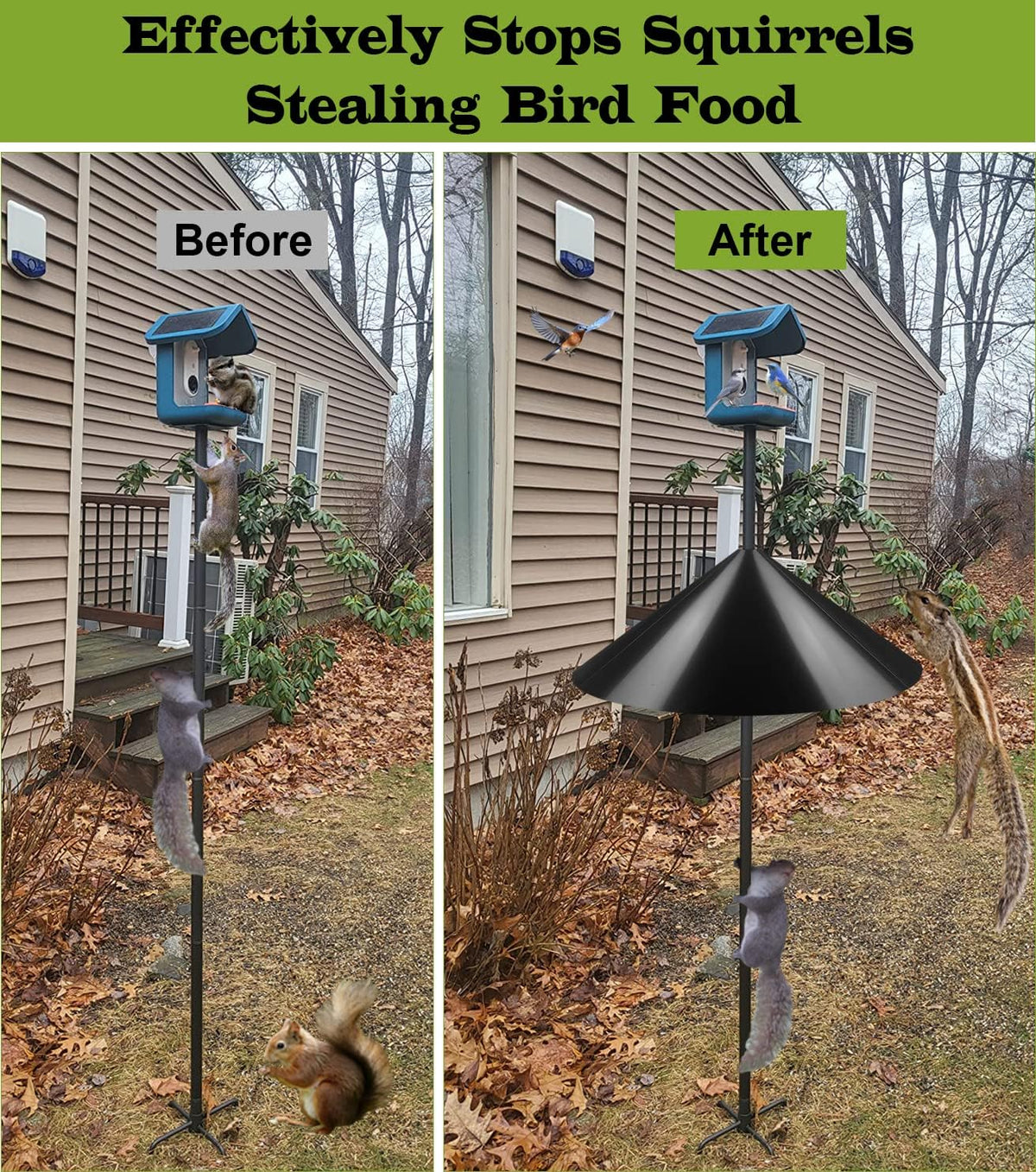 19 Inch Wide Squirrel Baffle for Bird Feeder Pole, Outside Pole Mount Stopper & Bird House Guard for Outdoor