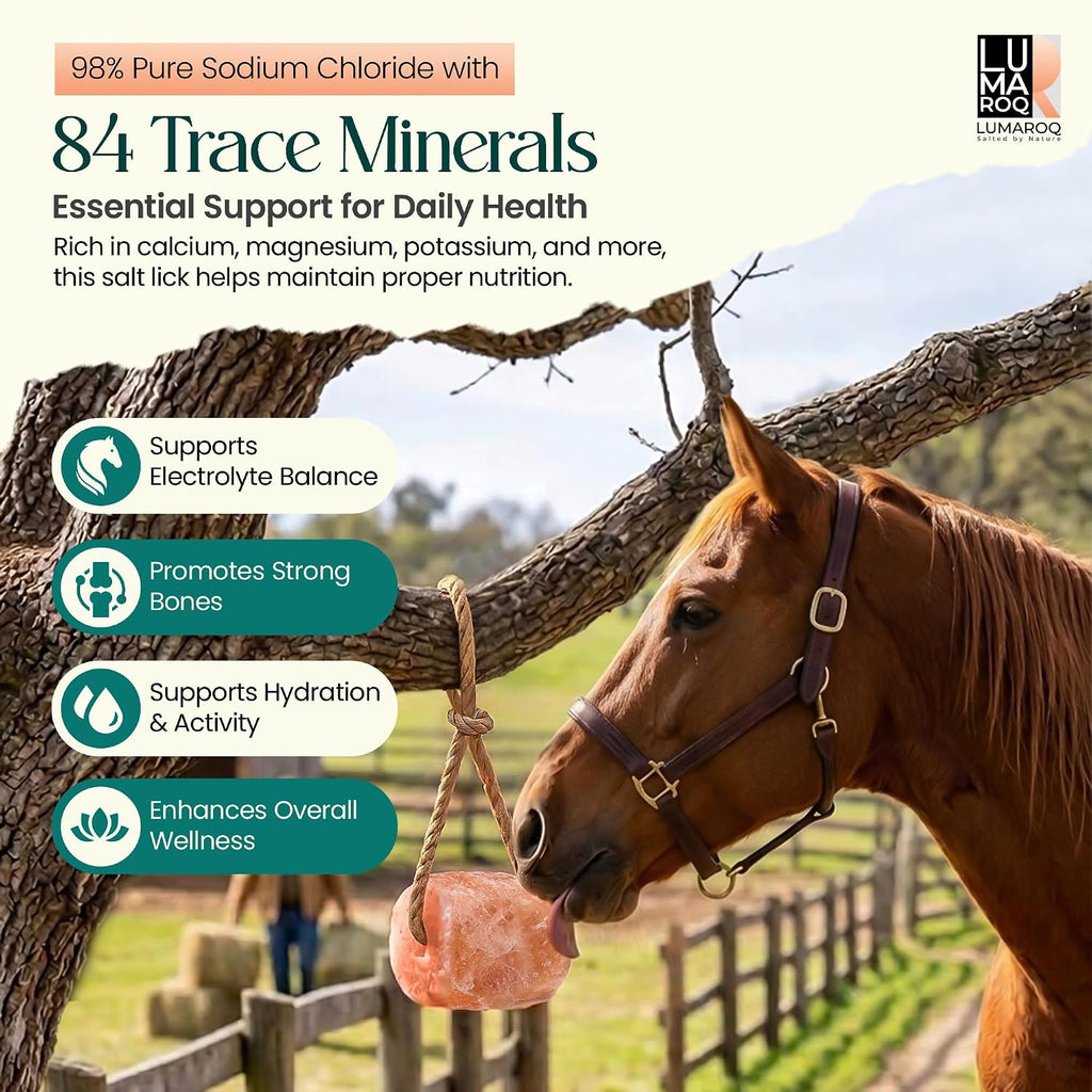 Himalayan Pink Salt Lick On Rope 6lbs for Horses, Deer, Goats & Livestock, Natural Mineral Salt Block with 84 Trace