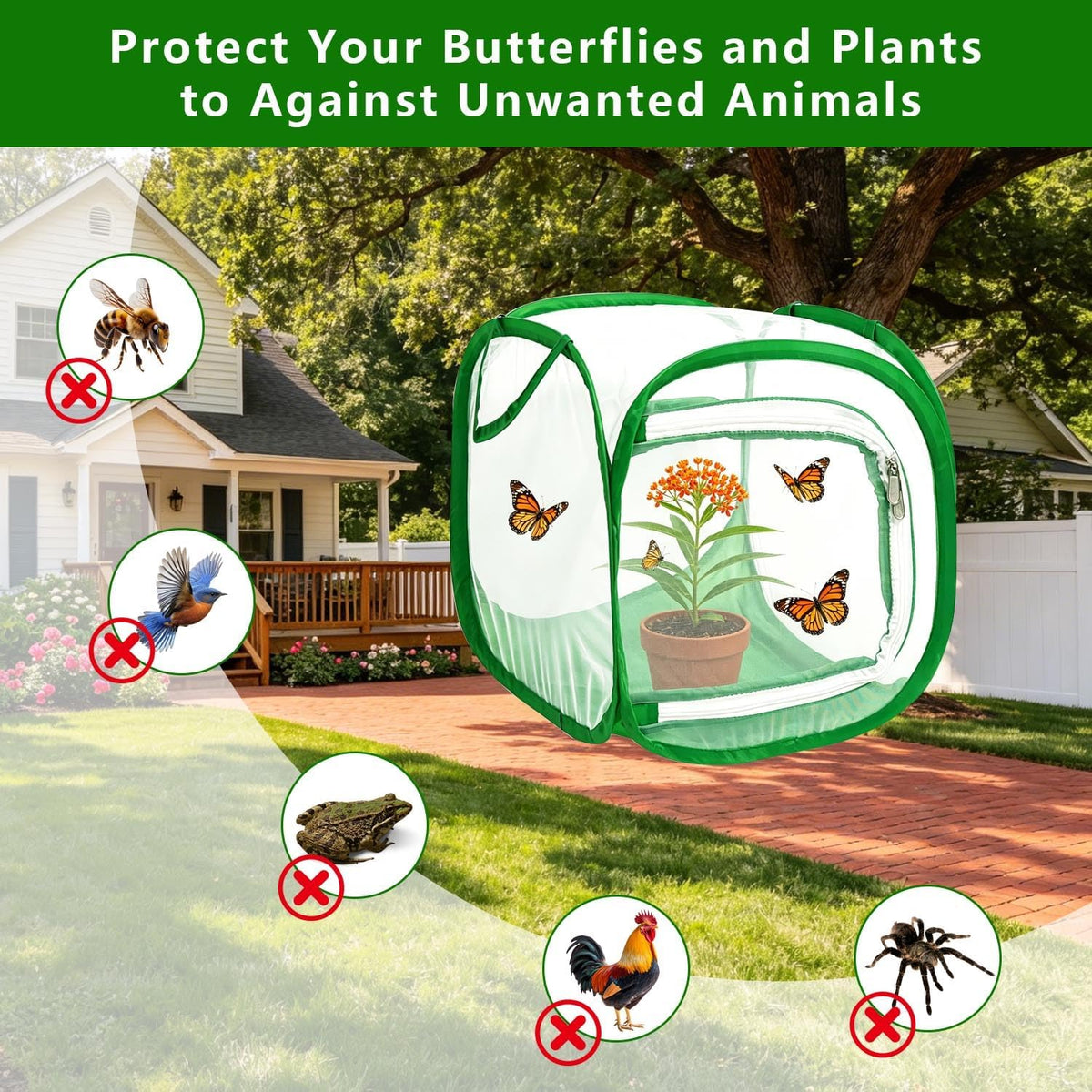 Butterfly House Habitat Insect Cage Clear See Through Pop-up Collapsible Butterfly Enclosure-Small 12"x12"x12"