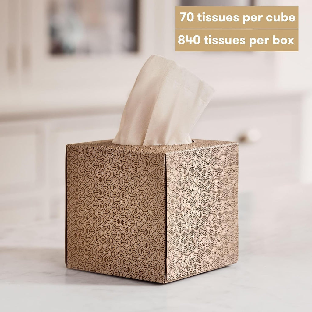 100% Bamboo Facial Tissues 12 Pack | 12x70 of unwhitened 3 ply tissues | Unbleached, Natural, Multipurpose