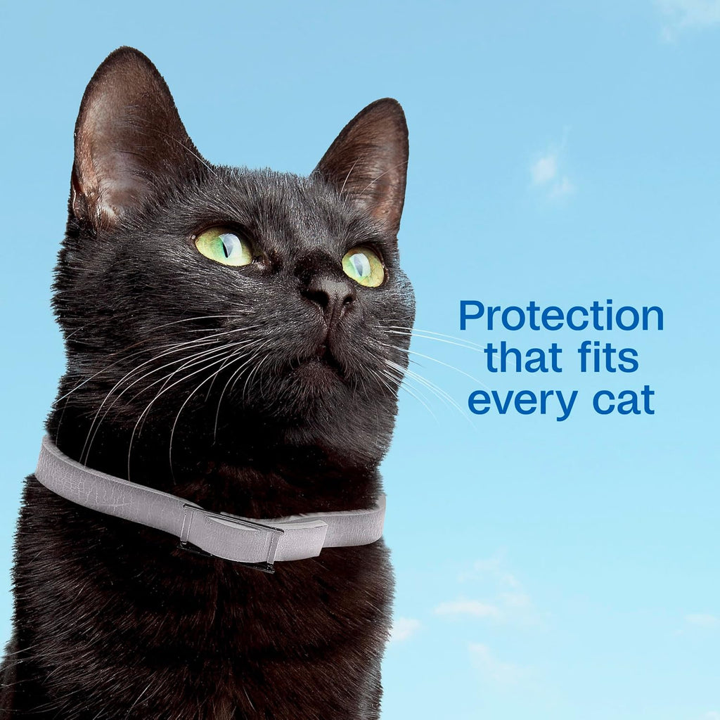 Plus Flea & Tick Collar for Cats, Adjustable, 1 Count