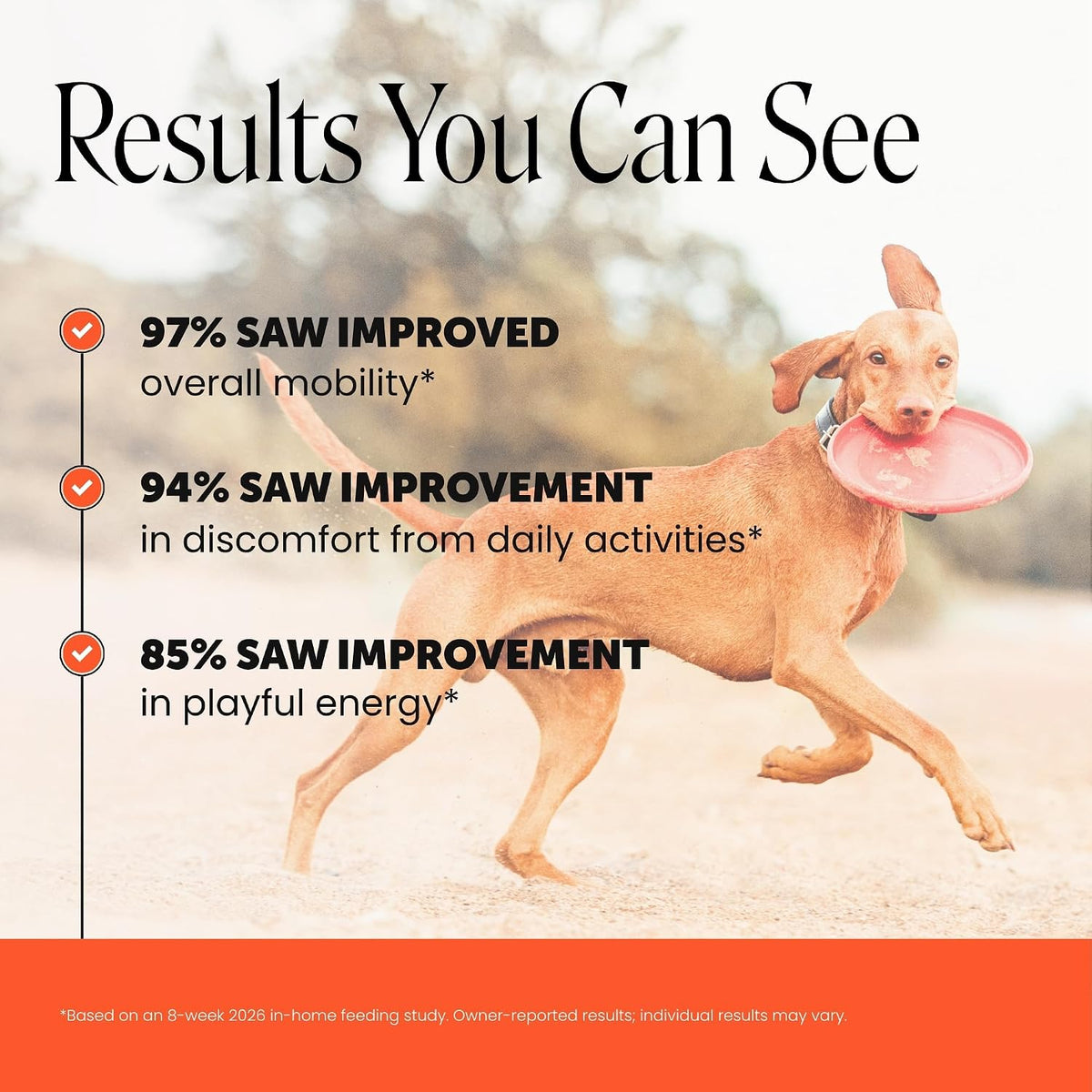 Vet Recommended Hip and Joint Supplement for Dogs, 90 Count