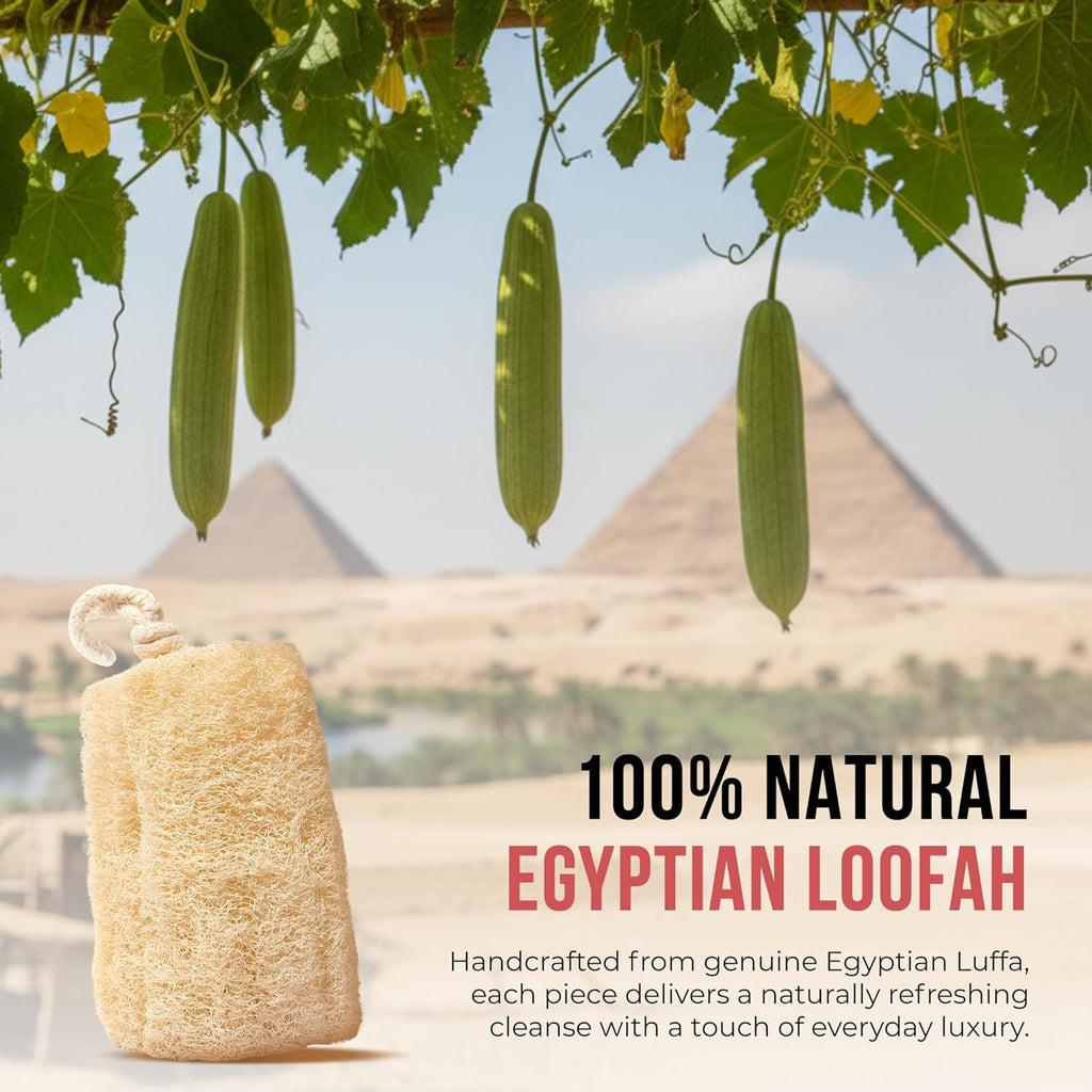 Loofah Body Scrubber - Natural Egyptian Loofah Sponge for Exfoliating Shower Bath, Organic Luffa Loofa Scrubbing