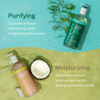 Tea Tree & Mint and Coconut & Vitamin E Body Wash Set, 2x24oz
