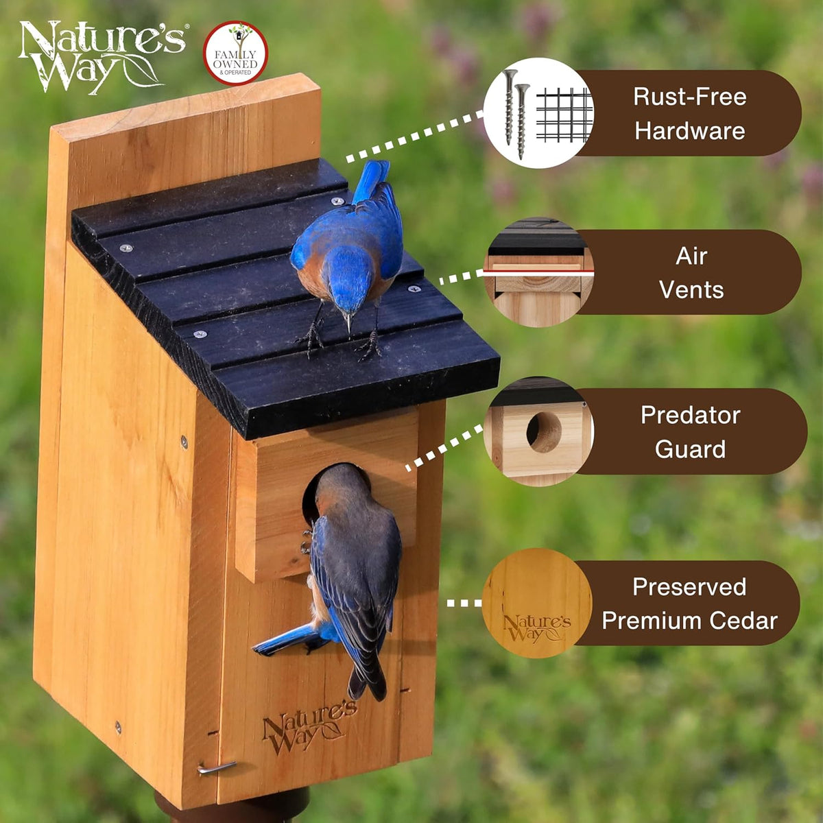 Nature’s Way Cedar Bluebird House for Outdoor Nesting, Predator Guard, Ventilated Design & Easy Access Clean-Out
