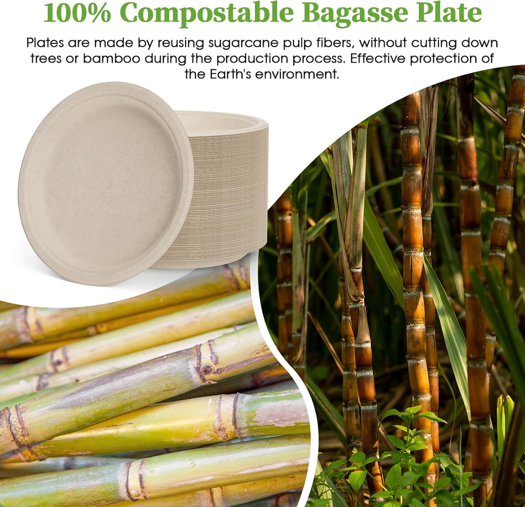 150 Pack 10 inch Compostable Disposable Paper Plates for Party