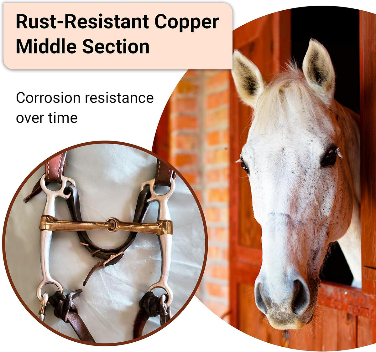 Western Tom Thumb Horse Bit 5” - Copper Mouthpiece, Chrome-Plated Steel, Strong Leverage Training Bit for Control &