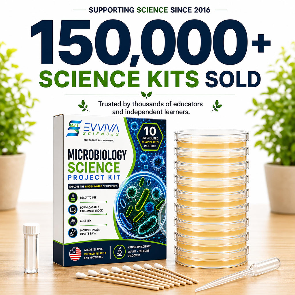 Evviva Sciences Microbiology Science Project Kit, Pre-Poured Agar Plates for Students, Agar Petri Dishes to Learn