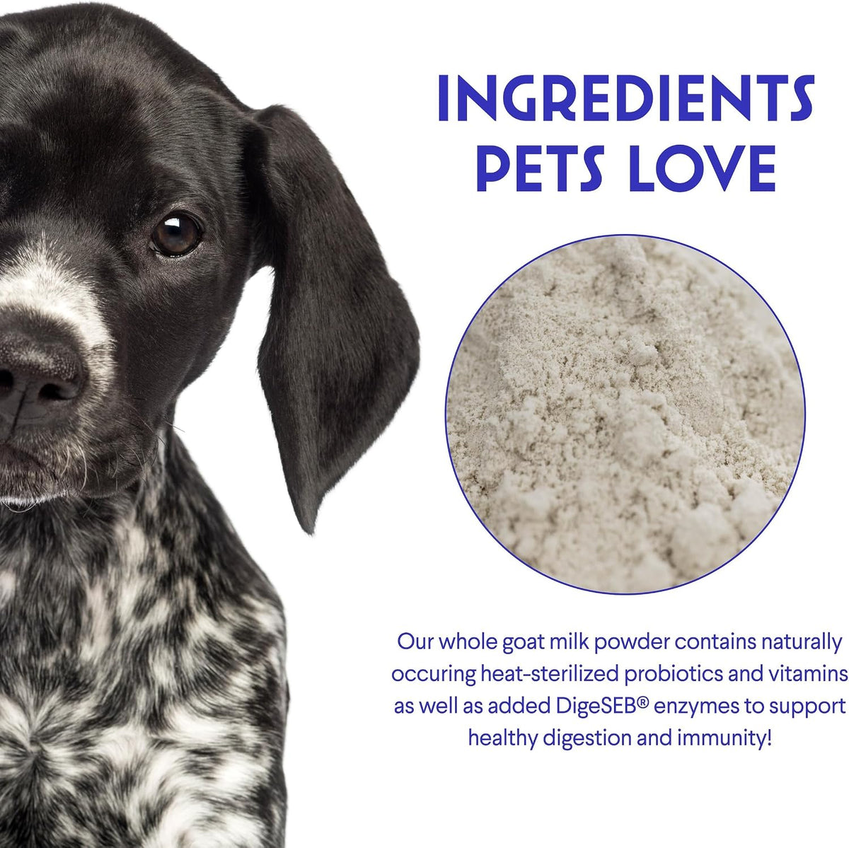 Premium Goat Milk Powder for Dogs – Supports Digestion, Immune Health & Allergies – Goat’s Milk with Probiotics for