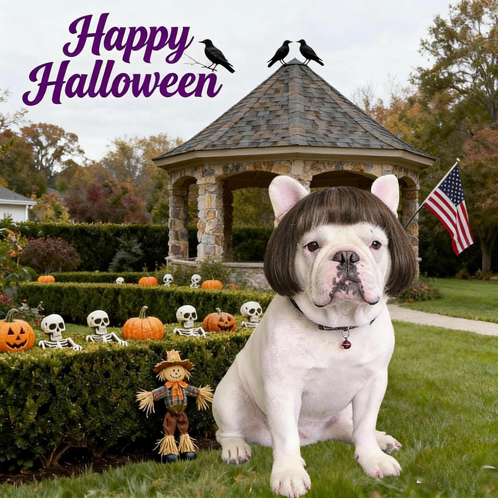 Funny Dog Costume Dog Bob Wig for Cat Doggie Wig