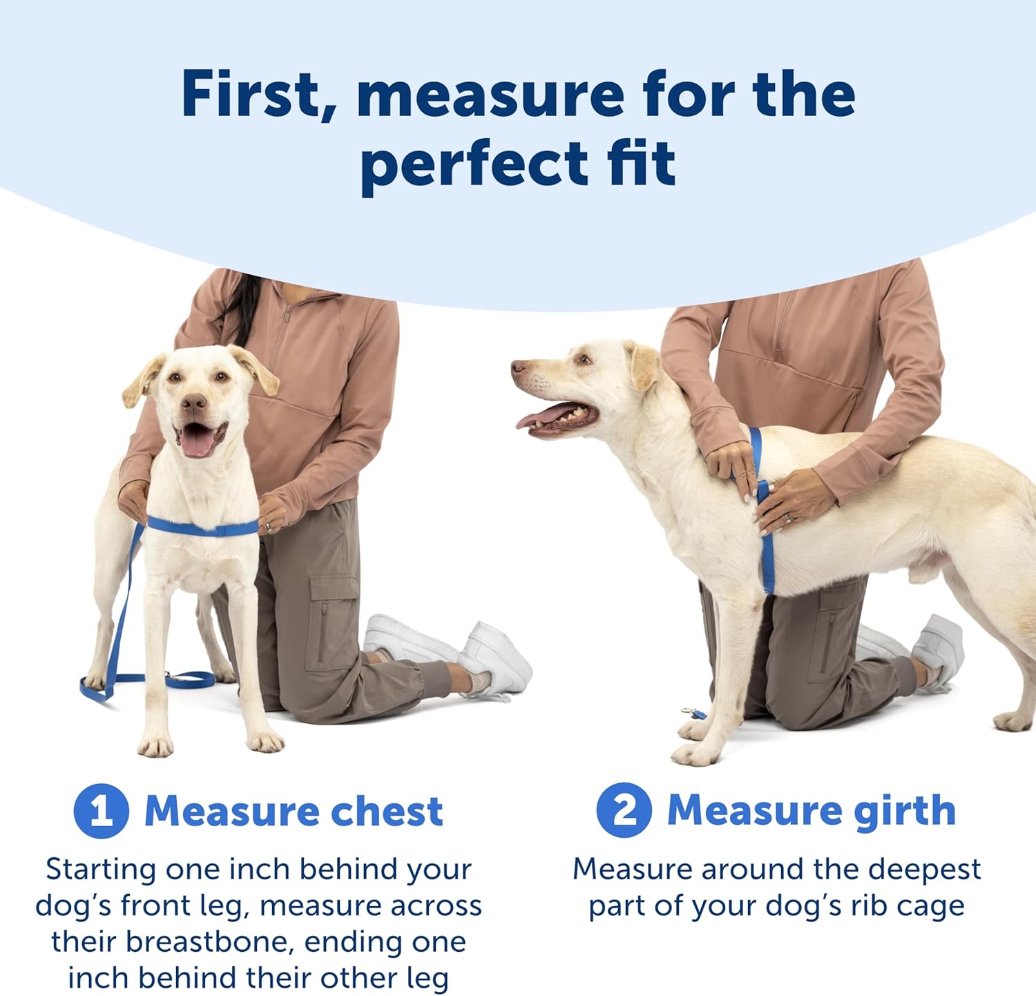 Easy Walk No-Pull Dog Harness - Ultimate Harness to Help Stop Pulling - Pull-Free Walks - Take Control & Teach Better