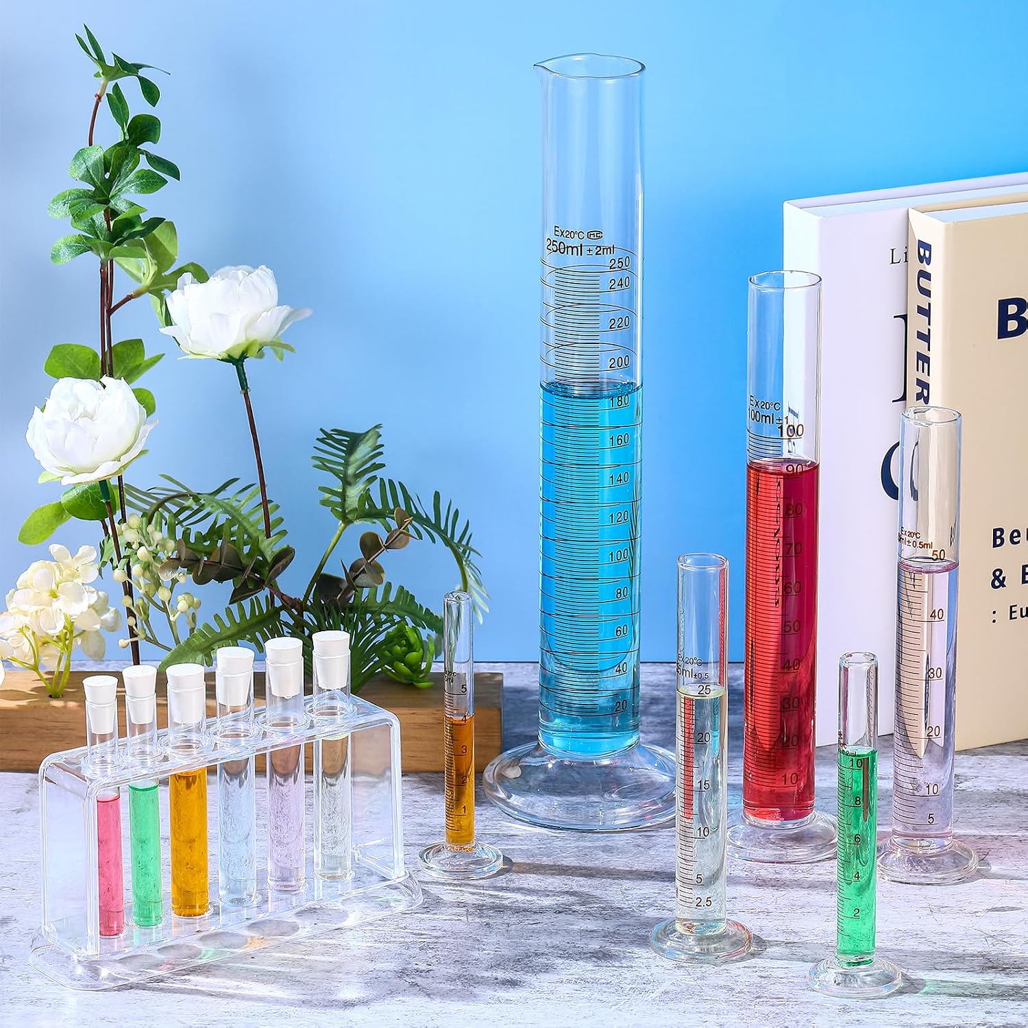 6 Glass Graduated Cylinders 5-250ml with Test Tubes Rack Lab | 6 Measuring Sizes for Experiments, Includes Test Tubes