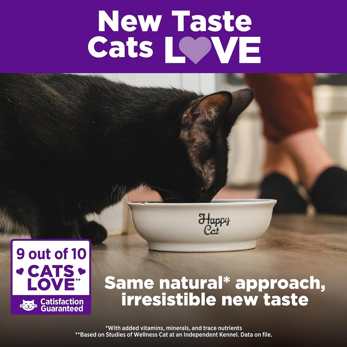 Complete Health Adult Dry Cat Food for Indoor Cats, Natural, Grain Free Kibble, Salmon and Herring Meal Recipe, 5.5