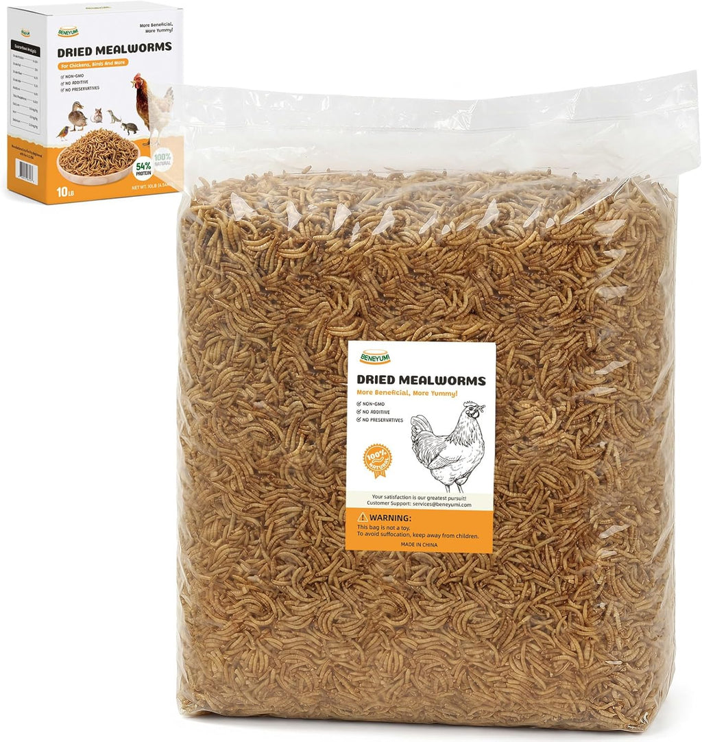 Dried Mealworms 10LB, High-Protein Poultry Treats & Wild Bird Food