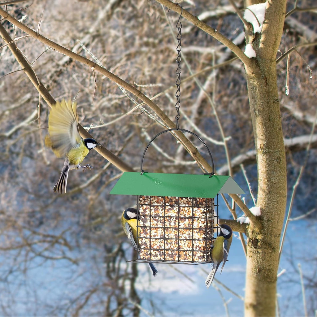 Bird Feeder for Outdoors, Squirrel Proof Suet Feeder for Outside Hanging
