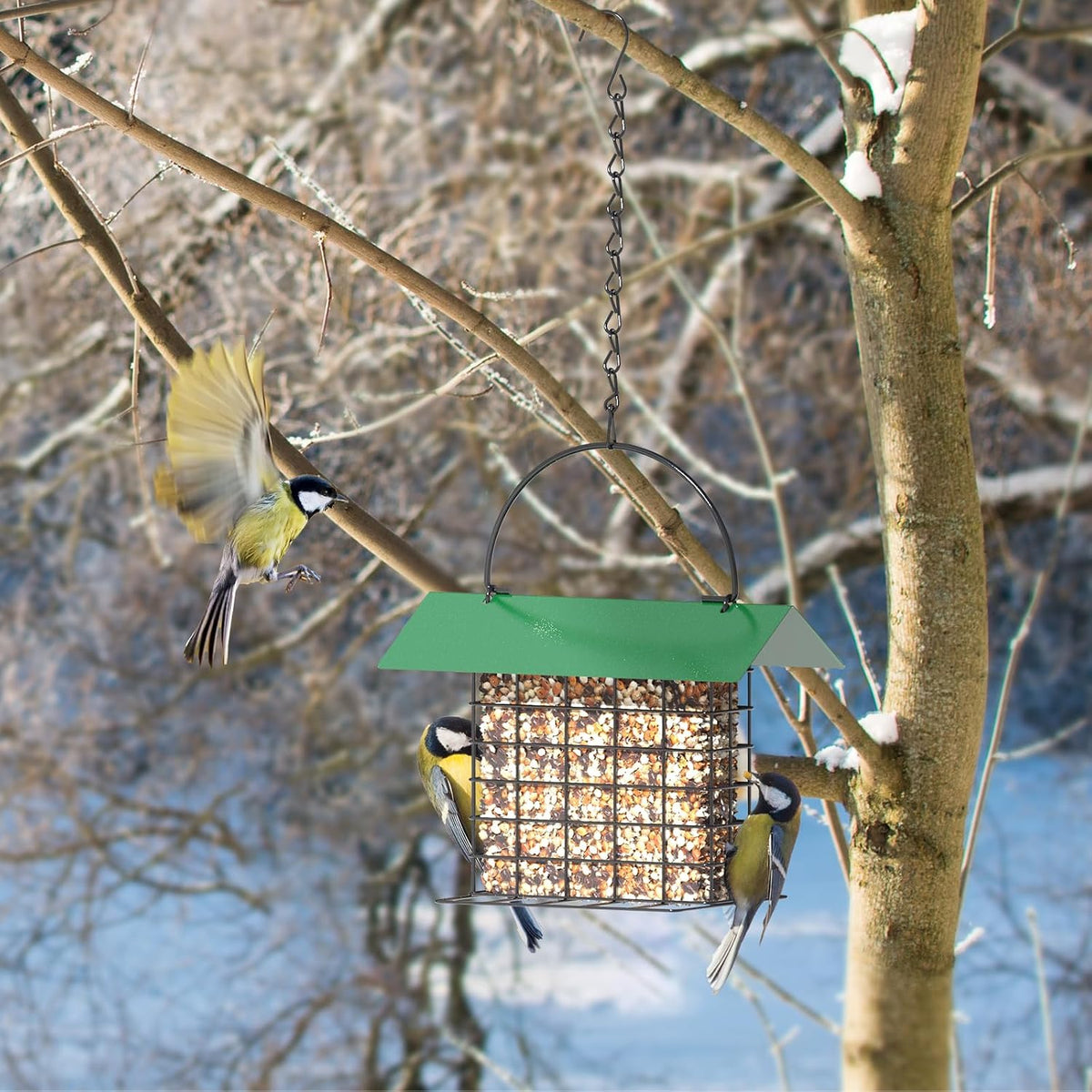 Bird Feeder for Outdoors, Squirrel Proof Suet Feeder for Outside Hanging