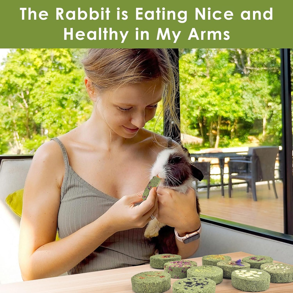 Treats Rabbit Toys, 100% Edible Premium Timothy Hay Chew A Blocks for Rabbits, Chinchilla Treats, Chew Toys for Teeth
