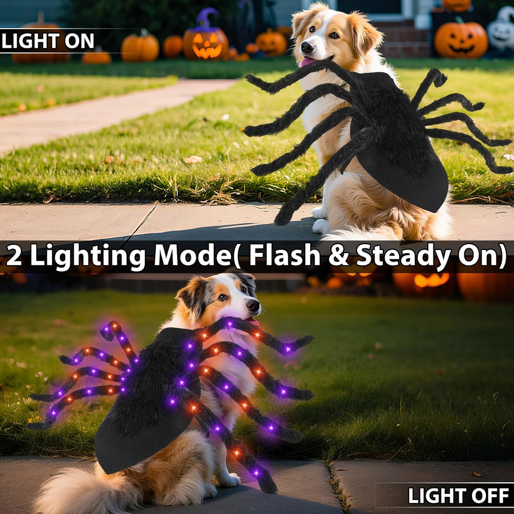 Halloween Light up Spider Dog Costumes for Small Medium Large Dogs
