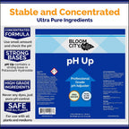Professional pH Up Liquid Fertilizer, Quart (32 oz)
