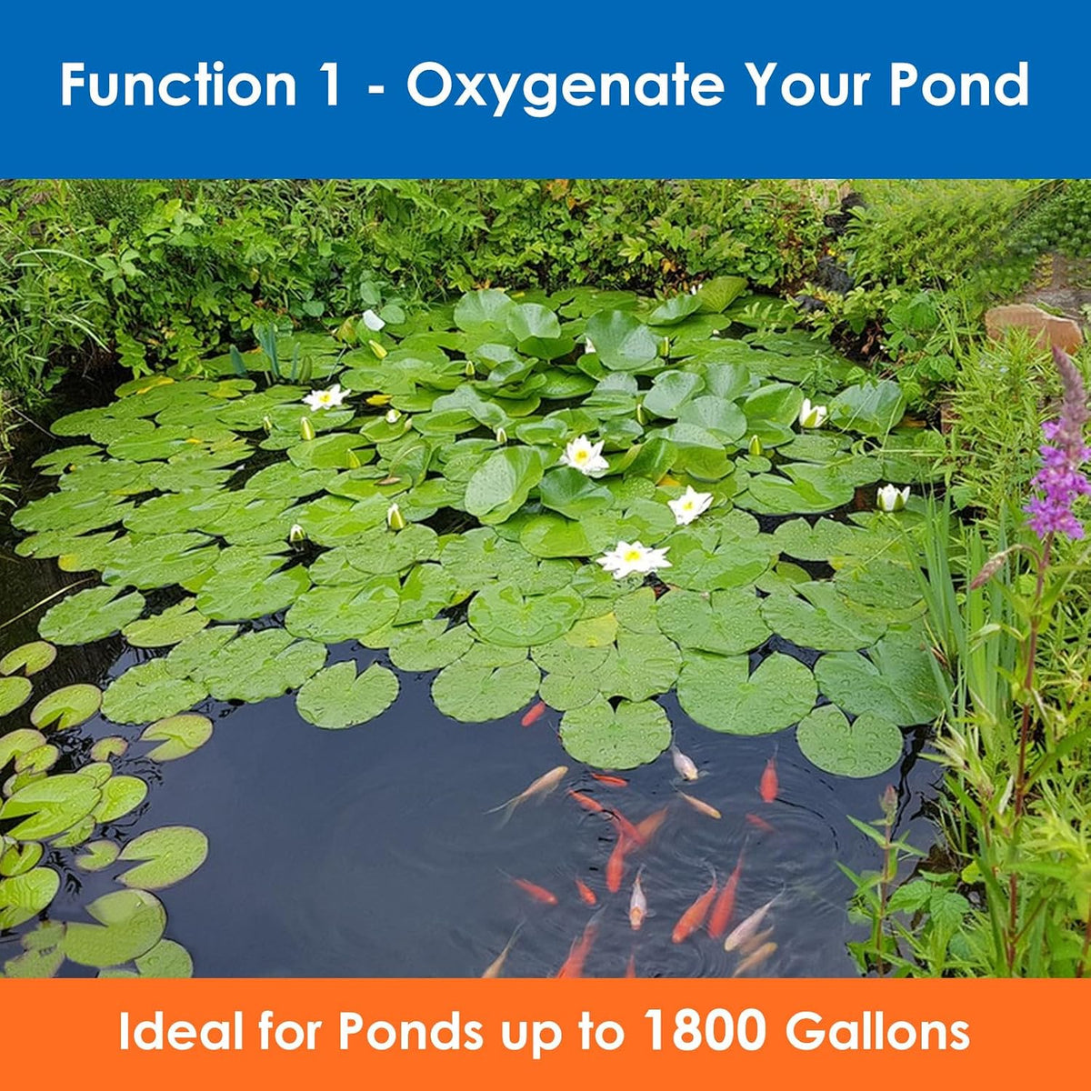 All-in-One Koi Pond Aerator for Outdoor Ponds up to 1800 Gal