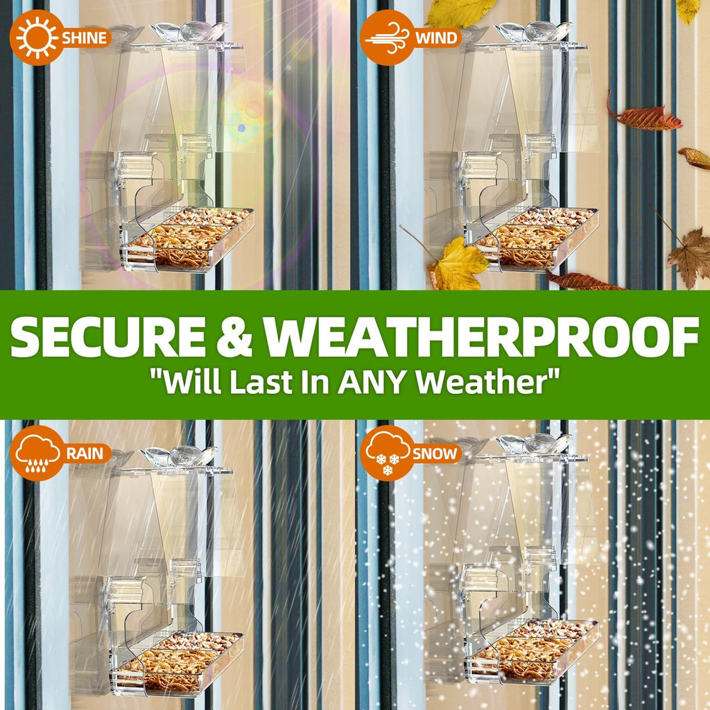Window Bird Feeder with Non-Marking Self-Adhesive Hooks