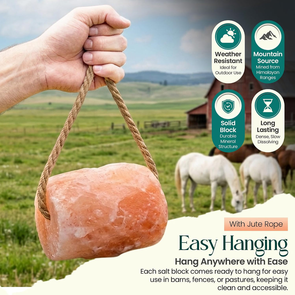 Himalayan Pink Salt Lick On Rope 6lbs for Horses, Deer, Goats & Livestock, Natural Mineral Salt Block with 84 Trace