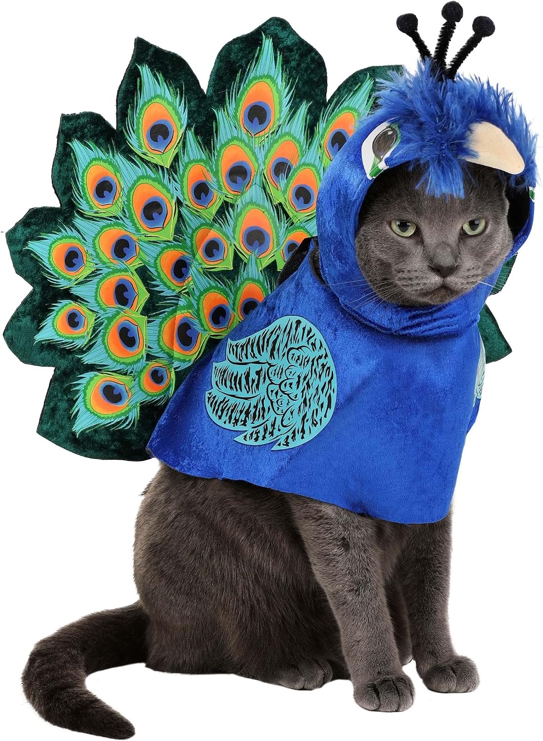 Pretty as a Peacock, Pet Costume Small