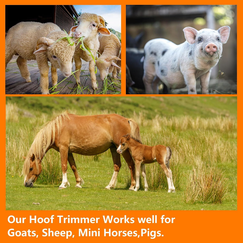 8 inch Farrier Tool Kit Goat Hoof Trimmers & Hoof Clippers Set