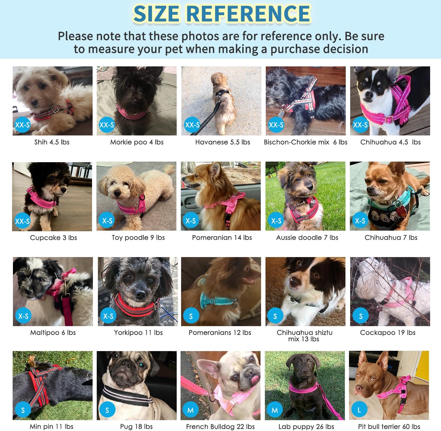 No Pull Small Dog Harness and Leash Set, Puppy Soft Vest Harness Neck & Chest Adjustable, Reflective Lightweight
