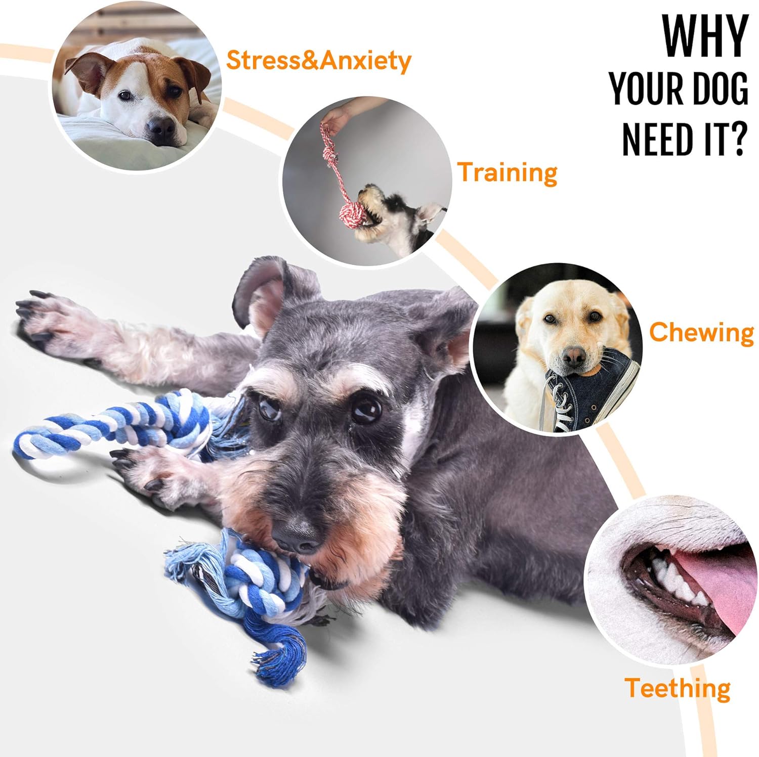 Dog Rope Toys 4 Pack, Puppy Teething Sturdy Cotton Chew Tug Ropes Indoor/Outdoor, Exercise Interactive Tug O'War Toys