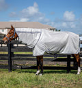 Amigo Bug Rug Plus Fly Sheet - Silver/Titanium Grey & Silver, 81