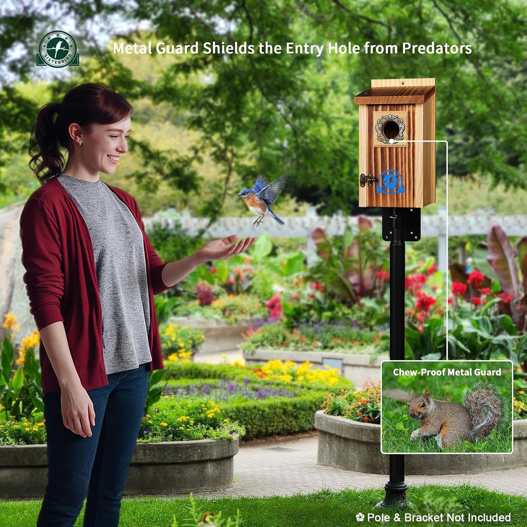 Premium Bluebird Houses for Outside, Bird House, Warming Gifts