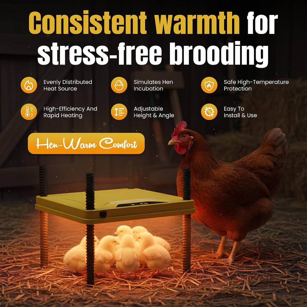 Heating Plate for Chick Brooder Adjustable 75W Chicken Heat Plate 10 x 10 Inch Warmer Brooder Heater for 10-12 Chicks