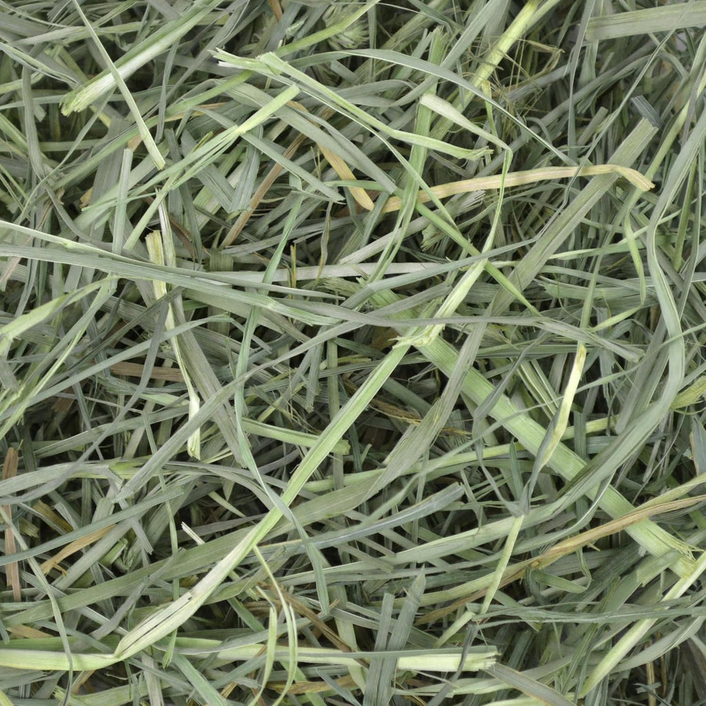 Orchard Hay, Rabbit & Guinea Pig Hay, Hand-Sorted, De-Dusted, 9 lb