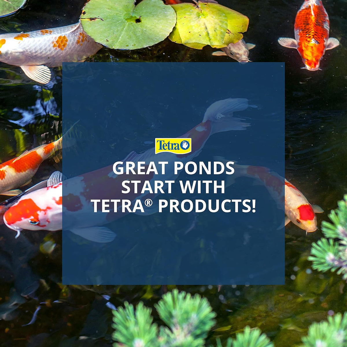 Pond Koi Vibrance Soft Sticks, Floating Pond Fish Food, 16.5 lbs