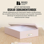 BIGSO OSKAR A4 Document Box - Storage Box with Lid and Handle - Desk Tray for Paper, Brochures & Documents - Shelf